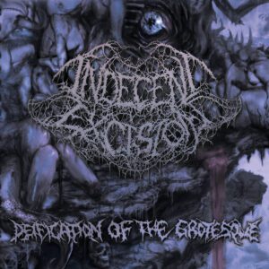 Indecent Excision - Deification Of The Grotesque CD